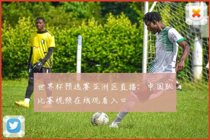世界杯预选赛亚洲区直播：中国队比赛视频在线观看入口
