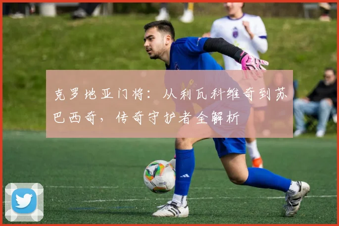 克罗地亚门将:从利瓦科维奇到苏巴西奇,传奇守护者全解析