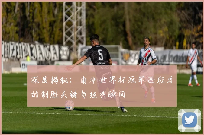 深度揭秘：南非世界杯冠军西班牙的制胜关键与经典瞬间