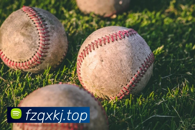 milan米兰官网APP 封面图